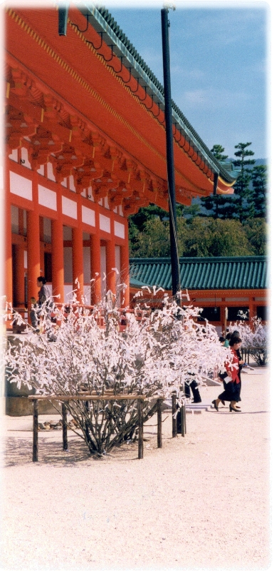 WishTree, Kyoto Japan.jpg